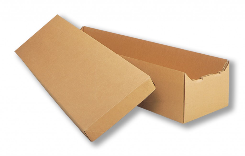 Cremation Containers And Caskets Pacific Coast Cremation Services   Cardboard 1024x651 